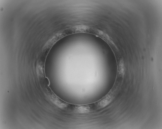 X0000080200522200612081430