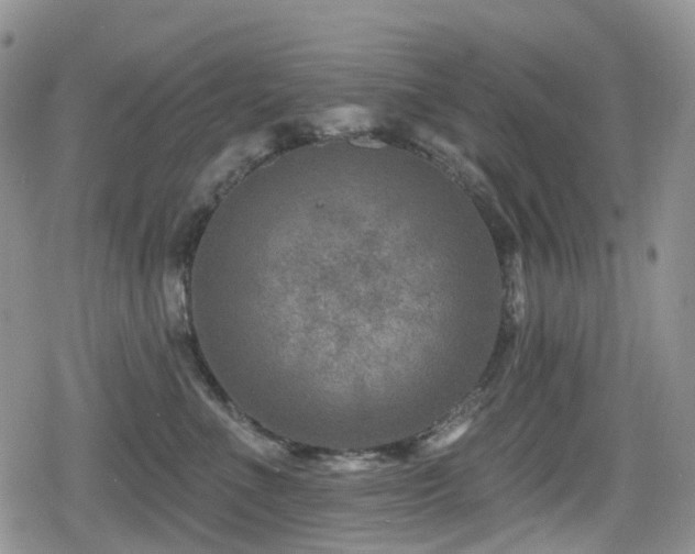 X0000080200523200612081430