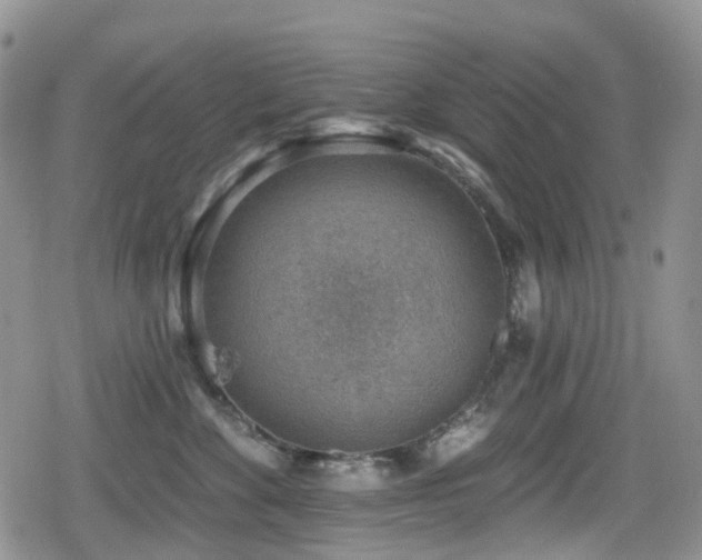 X0000080200524200612081430