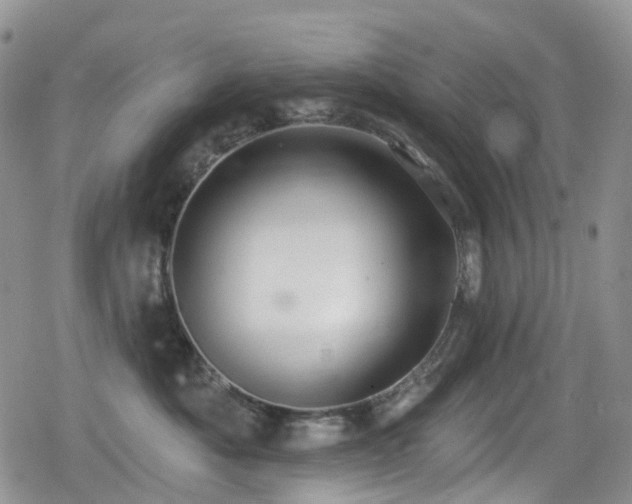 X0000080200525200612081430