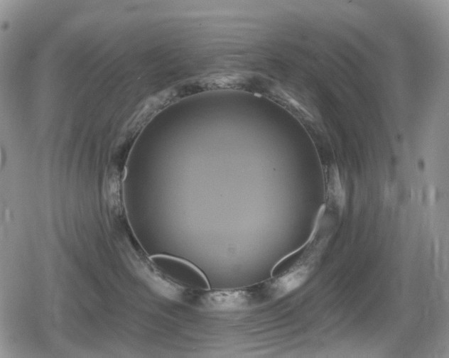 X0000080200526200612081430