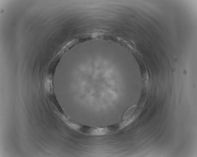 X0000080200527200612081430