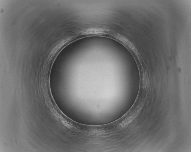 X0000080200529200612081429