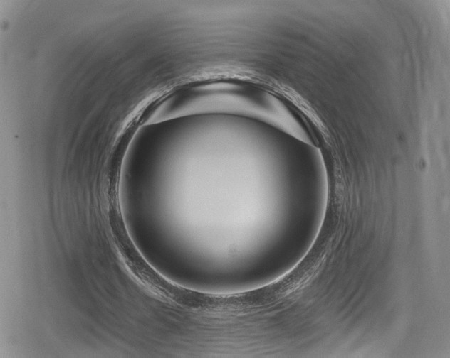 X0000080200530200612081429