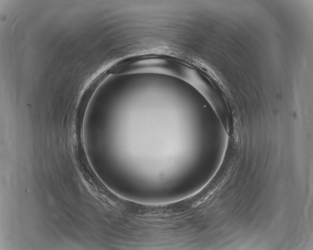 X0000080200532200612081430