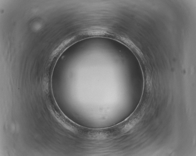 X0000080200533200612081430