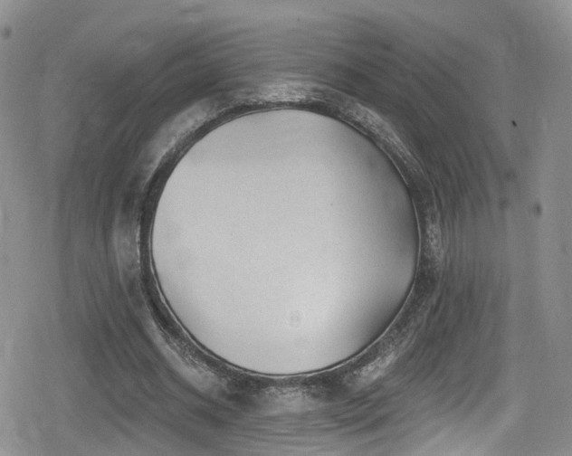 X0000080200534200612081430