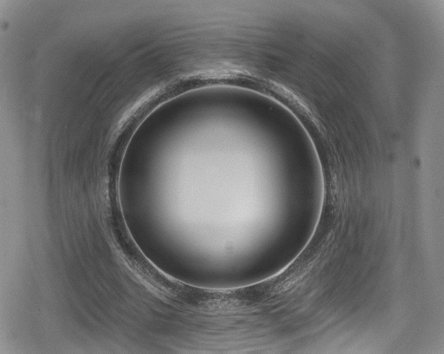 X0000080200535200612081430