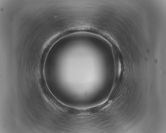 X0000080200536200612081430