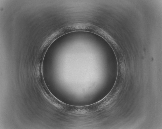 X0000080200537200612081430