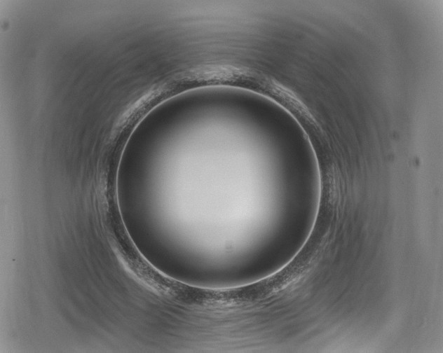 X0000080200538200612081430