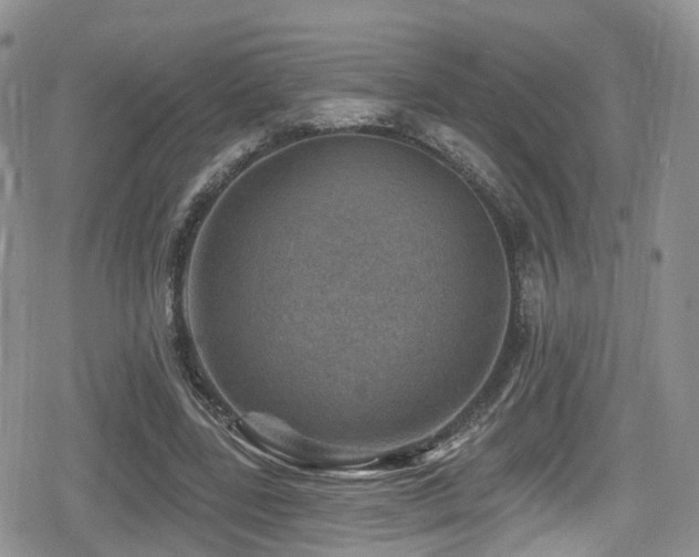 X0000080200539200612081430