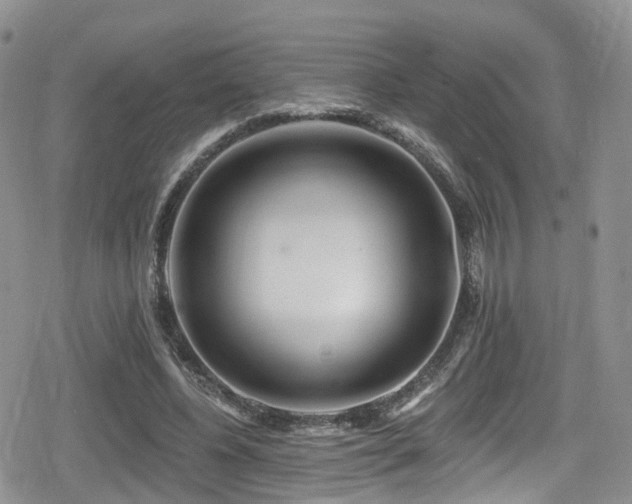 X0000080200540200612081430