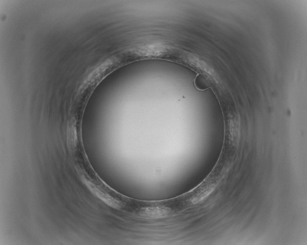 X0000080200541200612081430