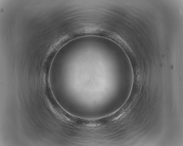 X0000080200542200612081430