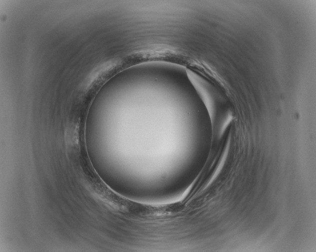 X0000080200543200612081430