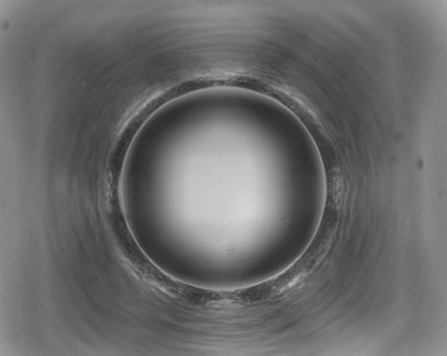 X0000080200544200612081430