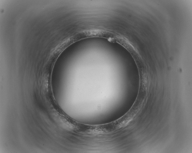 X0000080200545200612081430