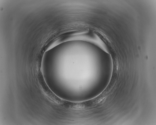 X0000080200546200612081430