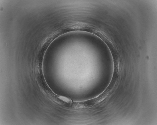 X0000080200547200612081430