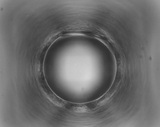 X0000080200548200612081430