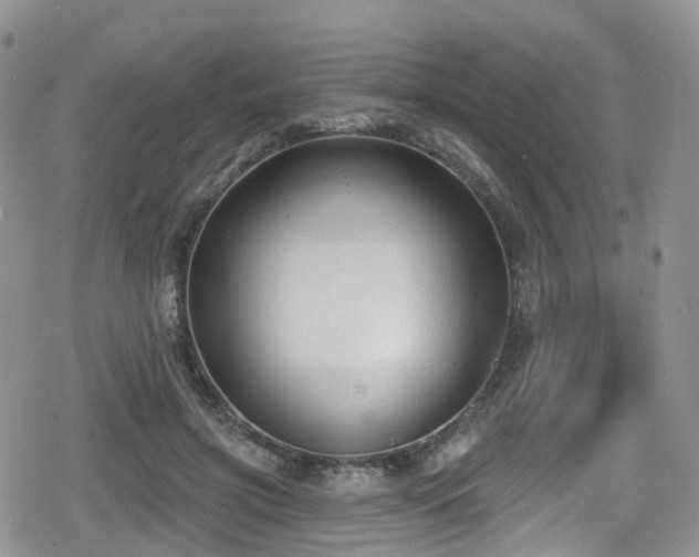 X0000080200549200612081430