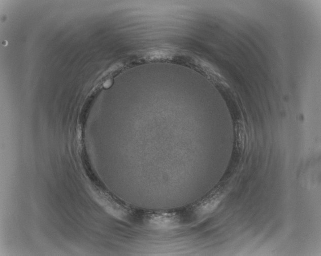 X0000080200550200612081430