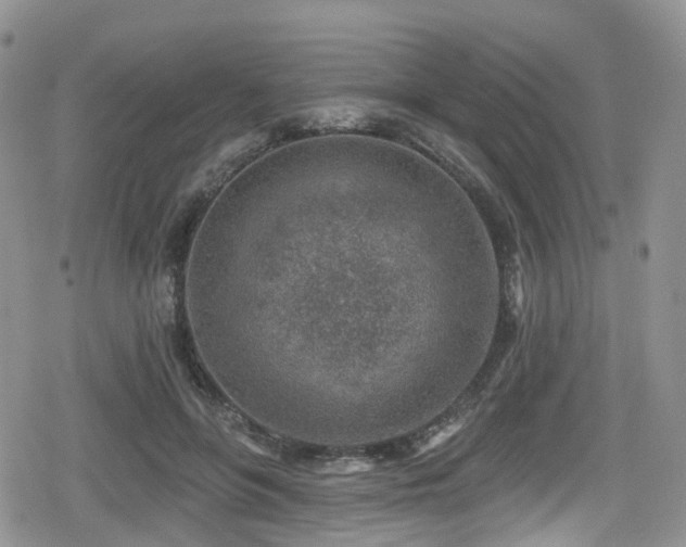 X0000080200551200612081430