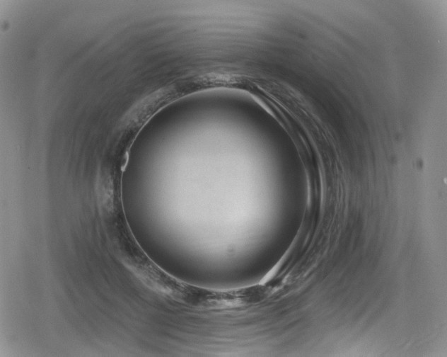 X0000080200552200612081430