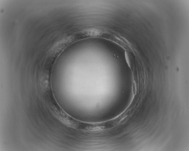 X0000080200553200612081430