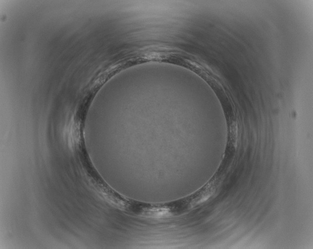 X0000080200554200612081430