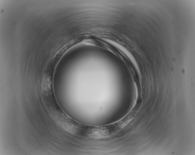 X0000080200555200612081430