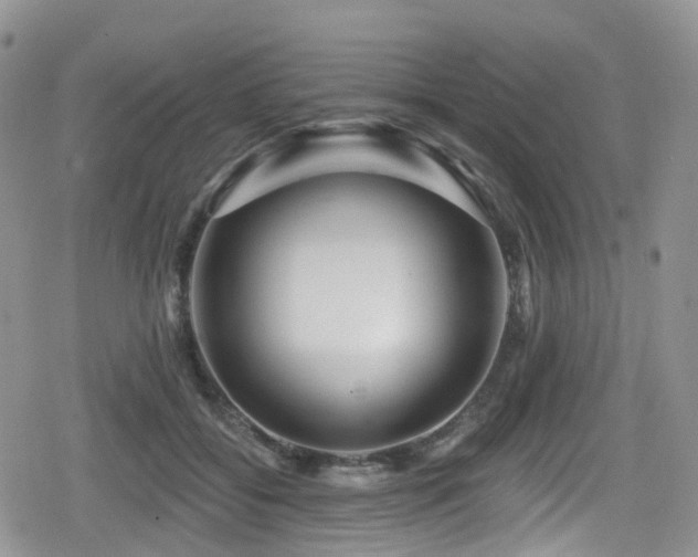 X0000080200556200612081430