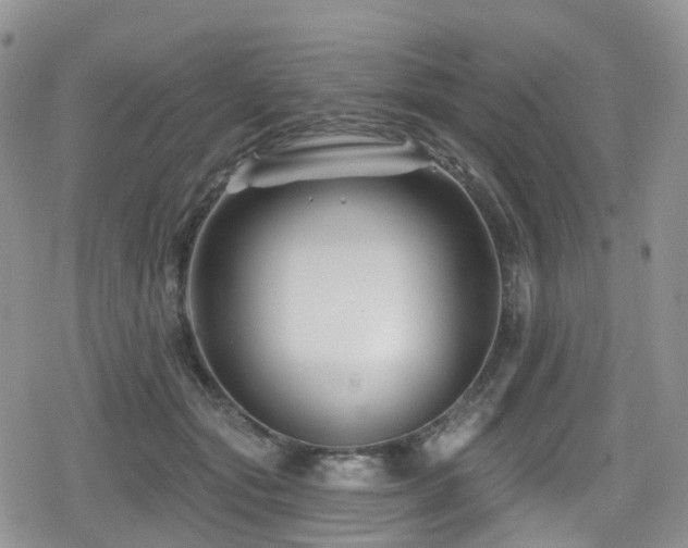 X0000080200557200612081430