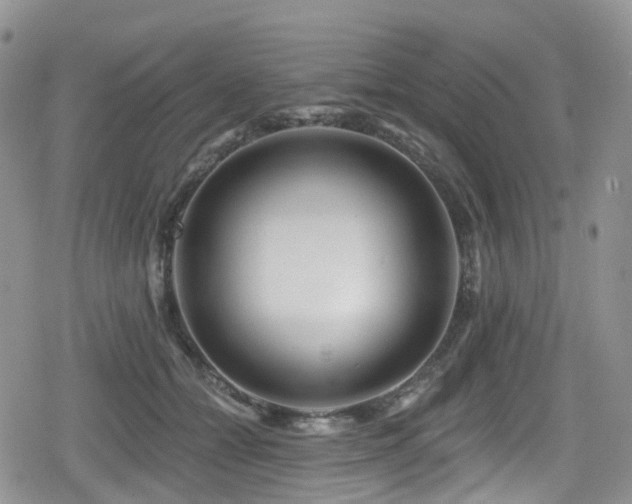 X0000080200558200612081430