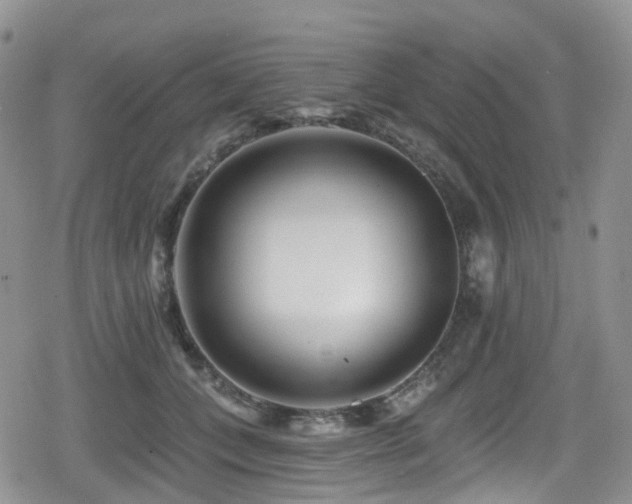 X0000080200559200612081430