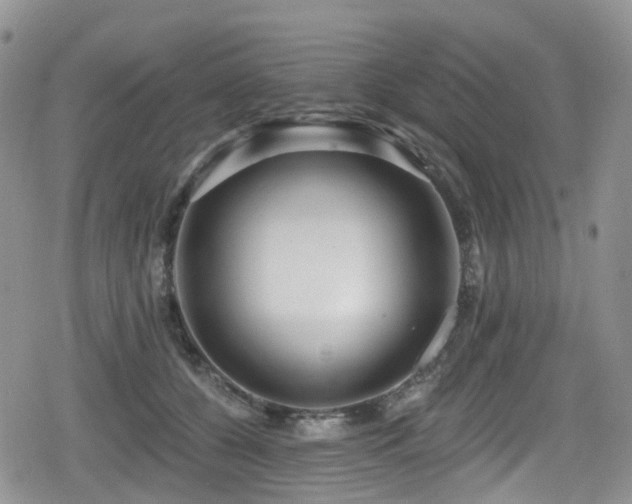 X0000080200560200612081430