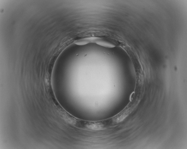 X0000080200561200612081430