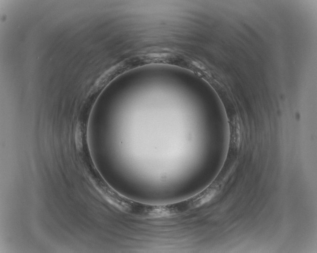 X0000080200562200612081430