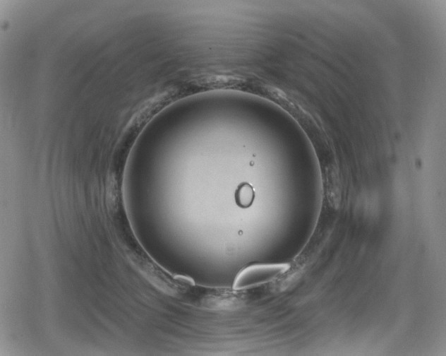 X0000080200563200612081430