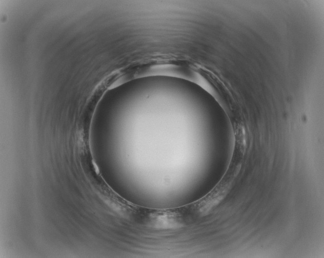 X0000080200564200612081430