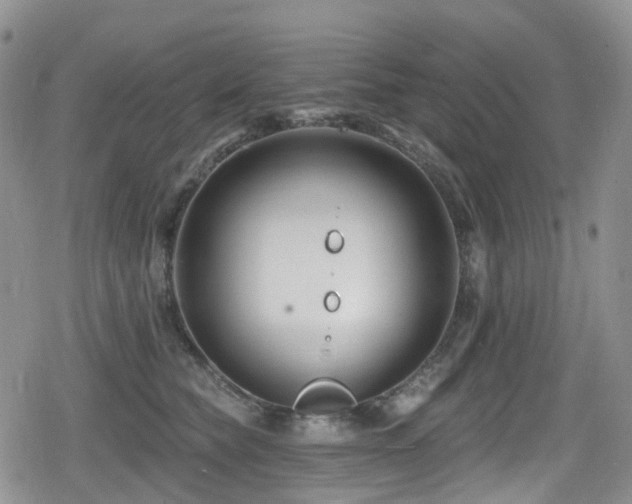 X0000080200565200612081430