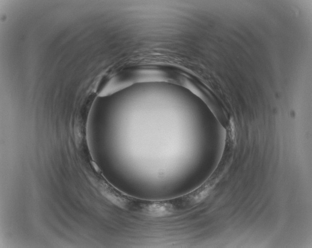 X0000080200566200612081430