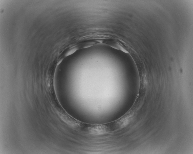 X0000080200567200612081430