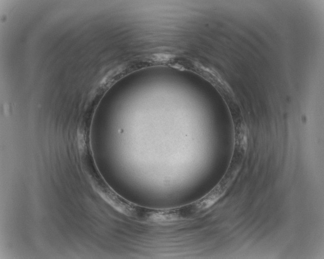 X0000080200568200612081430