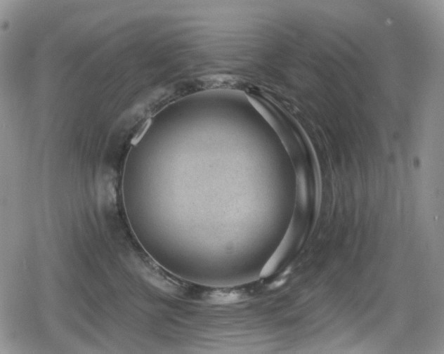 X0000080200570200612081430