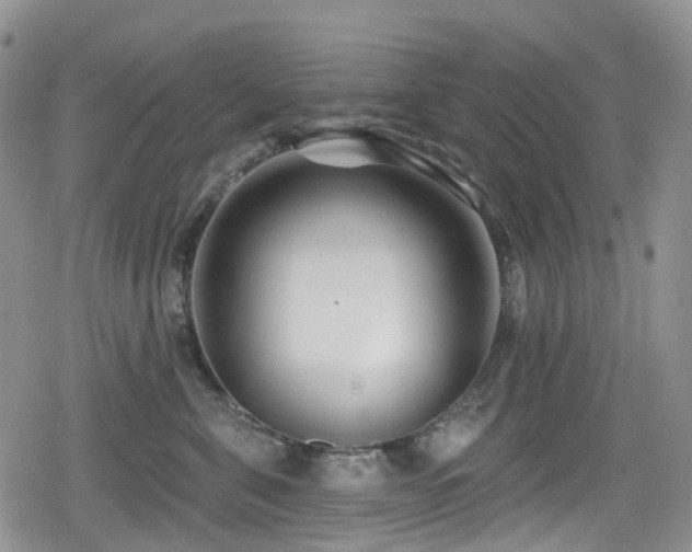 X0000080200571200612081430