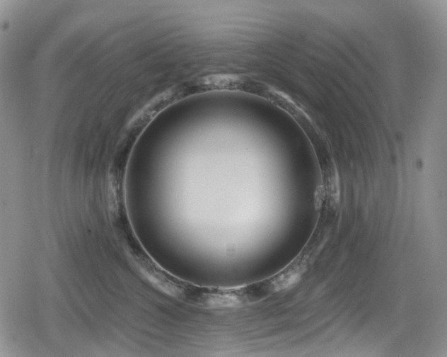 X0000080200572200612081430