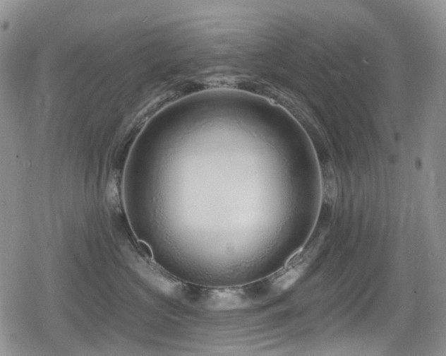 X0000080200573200612081430