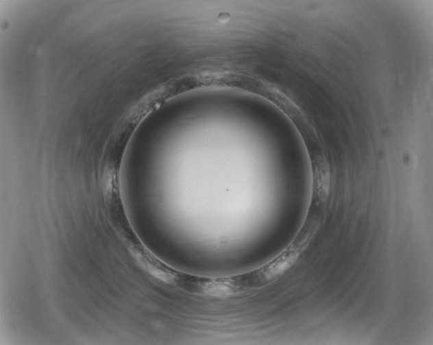 X0000080200574200612081430